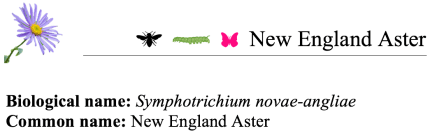 Screen Shot 2018-02-27 at 10.35.12 AM