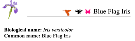 Screen Shot 2018-02-27 at 10.39.07 AM