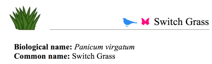 Screen Shot 2018-02-27 at 10.39.47 AM