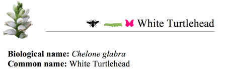 Screen Shot 2018-02-27 at 10.41.18 AM