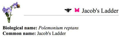 Screen Shot 2018-02-27 at 10.44.40 AM