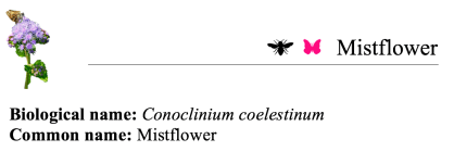 Screen Shot 2018-02-27 at 10.45.18 AM