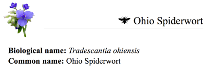 Screen Shot 2018-02-27 at 10.45.48 AM