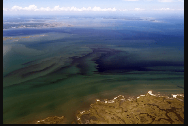 Screen Shot 2018-02-27 at 11.08.26 AM